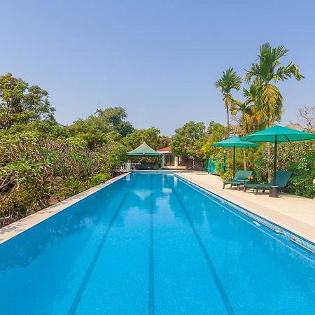 אליבג Stayvista'S Casa Palmera - Pet-Friendly Villa With Pool, Garden With Gazebo, And Indoor & Outdoor Games מראה חיצוני תמונה