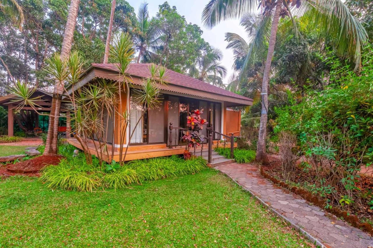 אליבג Stayvista'S Casa Palmera - Pet-Friendly Villa With Pool, Garden With Gazebo, And Indoor & Outdoor Games מראה חיצוני תמונה