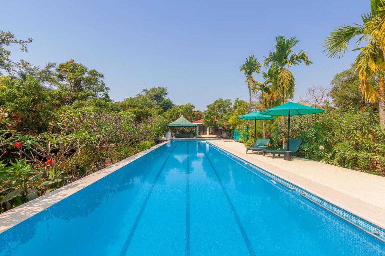 אליבג Stayvista'S Casa Palmera - Pet-Friendly Villa With Pool, Garden With Gazebo, And Indoor & Outdoor Games מראה חיצוני תמונה