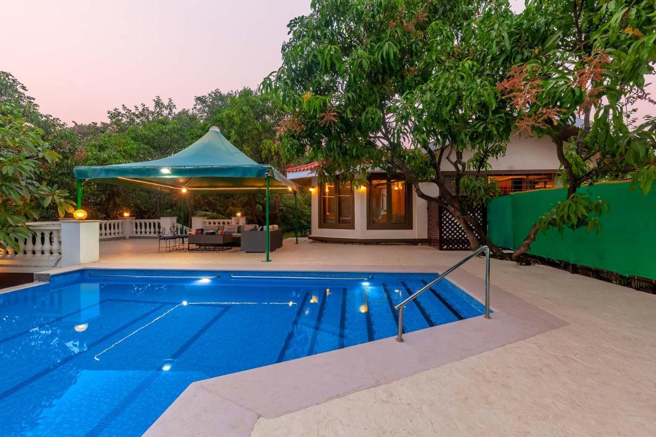 אליבג Stayvista'S Casa Palmera - Pet-Friendly Villa With Pool, Garden With Gazebo, And Indoor & Outdoor Games מראה חיצוני תמונה